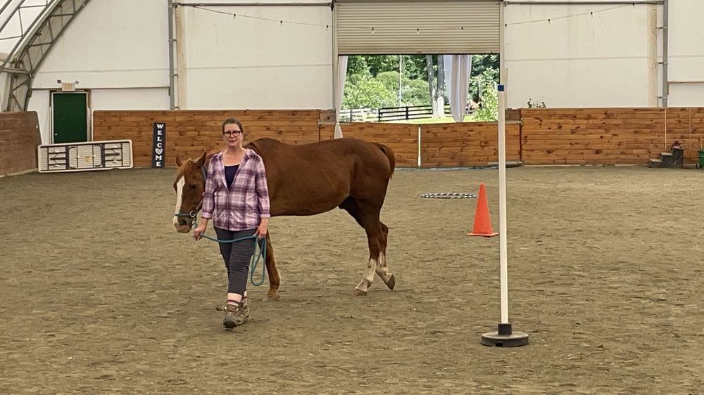 A participant leading a horse through a groundwork exercise in the covered arena